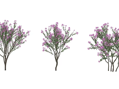 Beautiful Trees With Purple Flowers Green Leaves And Brown Trunks 3d model