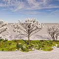 Modern Tree Magnolia Flowering Trees and Shrubs Landscape Plants 3d model