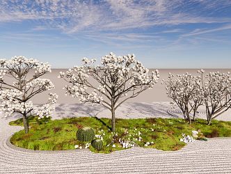 Modern Tree Magnolia Flowering Trees and Shrubs Landscape Plants 3d model