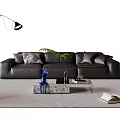 Stylish Black Leather Sofa And Coffee Table Set With Pillows Green Plant And Floor Lamp