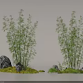 Serene Courtyard Garden With Lush Bamboo Plants Rocks And Green Moss
