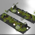 Long Strip Landscape Designs with Green Moss Small Plants Stones and Round Lights