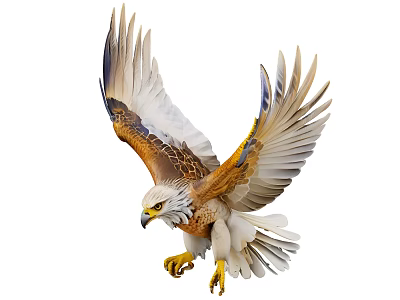 Flying Eagle With Spread Brown And White Feathers And Sharp Claws In Flight 3d model