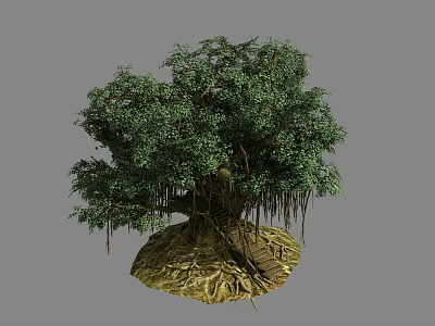 Lush Green Tree with Dense Foliage Exposed Roots Growing on Natural Ground 3d model