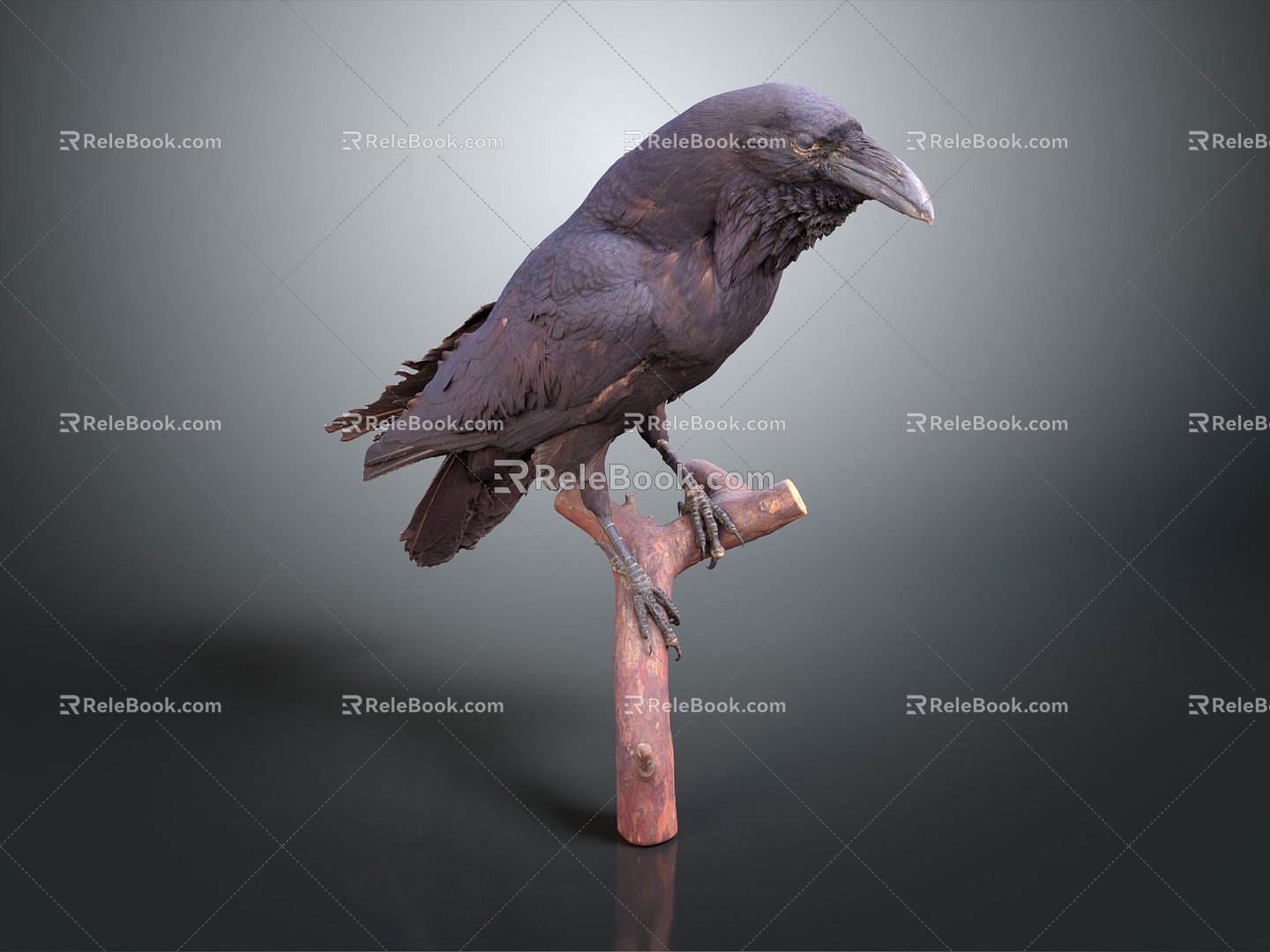 Modern crow crow bird bird 3d model