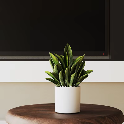 Modern Potted Bonsai Plant With Green Leaves In White Ceramic Pot 3d model