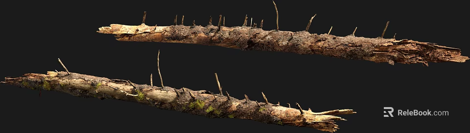 Close Up Tree Trunk With Thorns And Green Moss Growth On Rough Bark 3d model