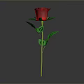 Red Rose Plant with Green Stem and Leaves on Gray Background with Clear Reflection