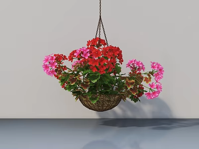 Hanging Basket Plants with Red and Pink Flowers and Green Leaves in Indoor Space 3d model