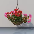 Hanging Basket Plants with Red and Pink Flowers and Green Leaves in Indoor Space