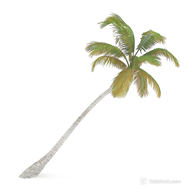 Tall Tropical Palm Tree With Green Leaves And Leaning Trunk 3d model 