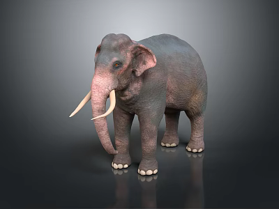 Realistic Elephant With Long White Tusks Gray Skin And Curved Trunk 3d model