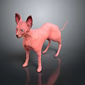 Pink Sphynx Cat with Large Ears and Blue Eyes Standing on Dark Reflective Surface