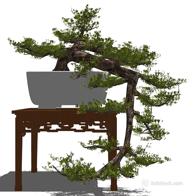 Bonsai Plant In Gray Pot On Wooden Stand With Curved Branches And Green Leaves 3d model 