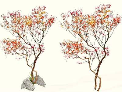 Two Arbor Trees with Red and Orange Leaves Curved Trunks and Stone Base 3d model