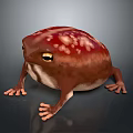 Fat Red Spotted Frog With Short Limbs And Round Body On Dark Background 3d model