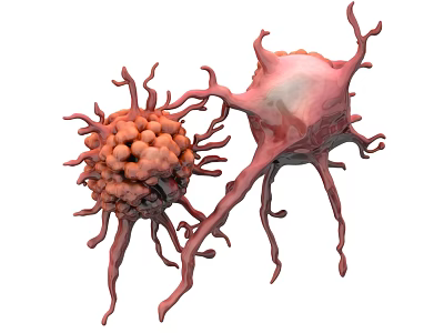 Detailed 3D Rendering Of Complex Biological Cells With Protruding Branch Like Structures 3d model