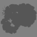 Elegant Ornamental Tree With Lush Foliage And Human Silhouette For Proportion Reference