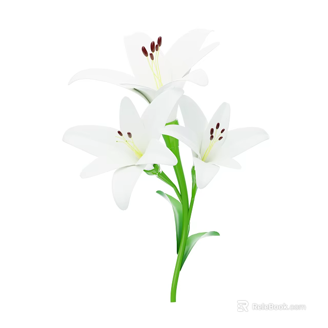 White Lilies with Three Blooms and Green Stems and Leaves 3d model 