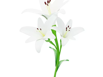 White Lilies with Three Blooms and Green Stems and Leaves 3d model