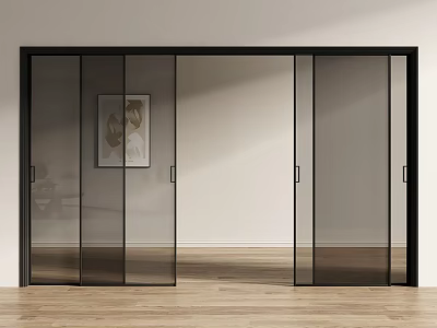 Sleek Black Frame Frosted Glass Sliding Doors For Modern Interior Design 3d model