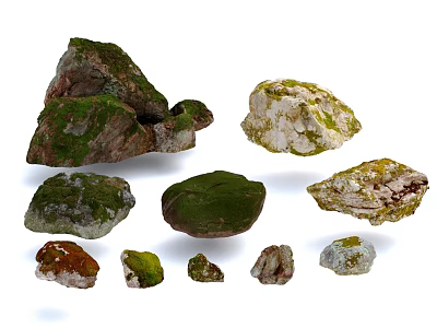 Natural Wood And Stone Materials Showing Various Shapes Sizes And Moss Covered Surfaces 3d model