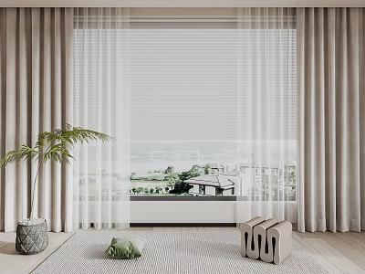 Gray and White Curtains with Sheer Panels and Indoor Plant and Rug Near Window View 3d model