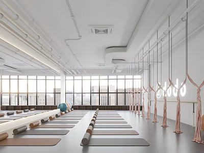 Yoga Studio With Mats Ballet Barres In Bright Space 3d model