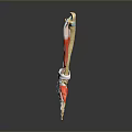 3D Medical Device With Arm Muscles Bones Anatomical Model For Education