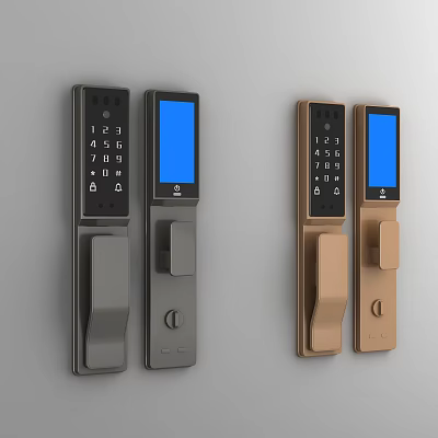 Smart Door Handles With Digital Keypad And Screen In Grey And Gold 3d model