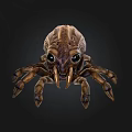 Brown Spider Like Creature 3D Model with Large Eyes Sharp Fangs and Multiple Legs