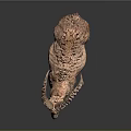 Wild Ibex with Large Curved Horns and Rough Fur Standing on Dark Background