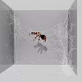 Reptile Exploring Intricate Spider Web in Gray Enclosed Space Environment 3d model