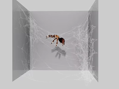 Reptile Exploring Intricate Spider Web in Gray Enclosed Space Environment 3d model