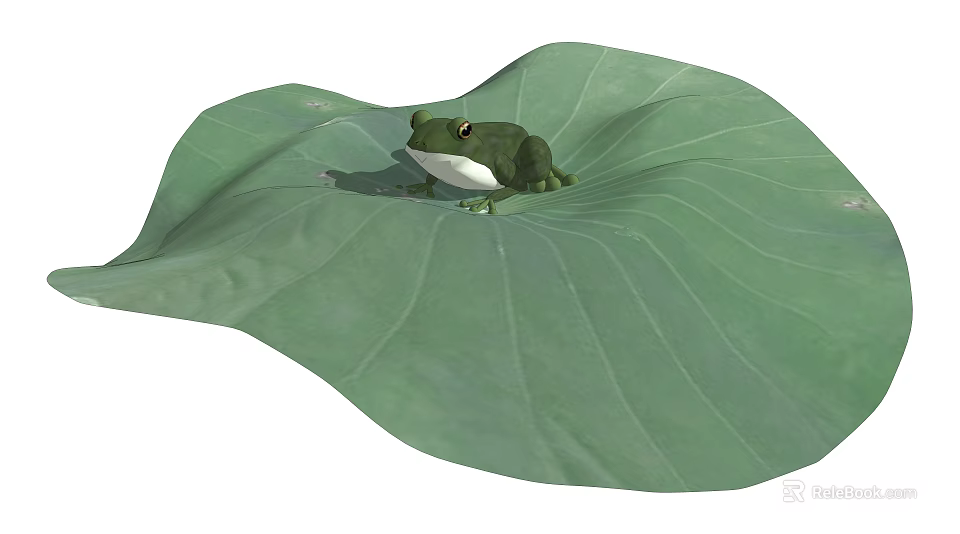 Green Reptile Resting On Large Fresh Lotus Leaf In Natural Habitat 3d model 