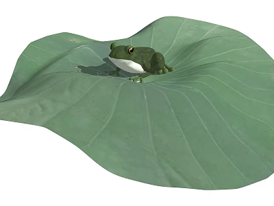 Green Reptile Resting On Large Fresh Lotus Leaf In Natural Habitat 3d model