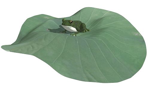 The Modern Frog 3d model