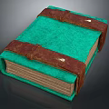 Vintage Green Book With Textured Leather Cover And Brown Straps
