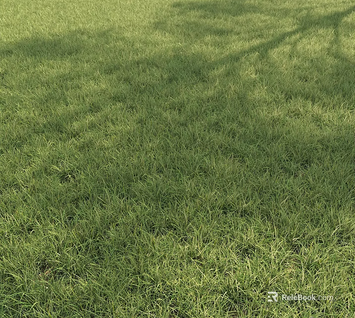 Lush Green Grass Field With Soft Texture And Tree Shadows Under Sunlight 3d model 