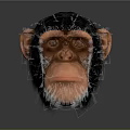 Monkey Cartoon Monkey Anime Monkey Stylized Monkey Fantasy Style Monkey Toy 3d model