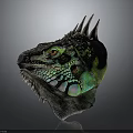 Vibrant Iguana Head with Green and Blue Scales Spikes and Orange Eyes on Dark Background