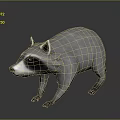 Realistic 3D Raccoon Model With Gray Fur And Detailed Features Rendering