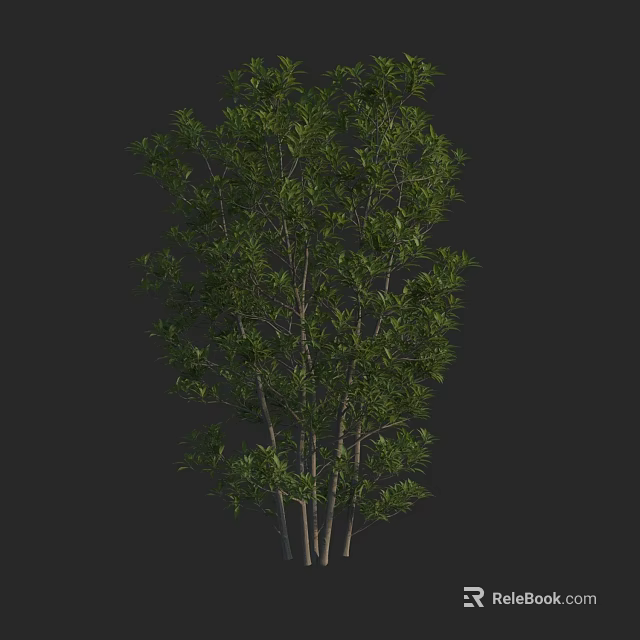 Lush Green Arbor With Multiple Trunks And Dense Foliage Natural Growth 3d model 