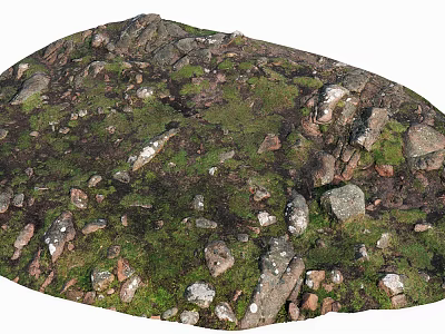 Natural Stone And Wood Elements In Rustic Landscape With Mossy Surfaces 3d model