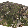 Natural Stone And Wood Elements In Rustic Landscape With Mossy Surfaces 3d model