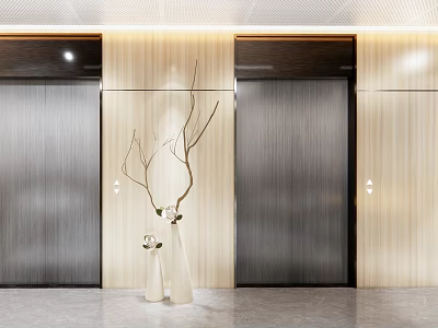 Modern Minimalist Elevator Hallway With Wooden Panels Metallic Doors And Decorative Branches In White Vases 3d model