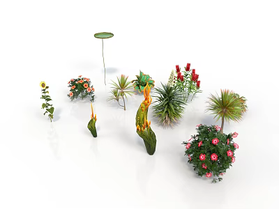 Diverse Potted Plants with Sunflower Roses Succulents and Colorful Flowering Greenery 3d model