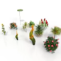 Diverse Potted Plants with Sunflower Roses Succulents and Colorful Flowering Greenery