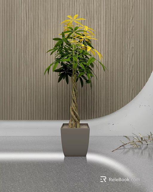 Indoor Bonsai Plant With Twisted Trunk And Green Yellow Leaves In Gray Pot 3d model 