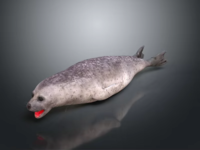 Realistic 3D Spotted Seal With Open Mouth And Red Tongue Lying On Dark Surface 3d model